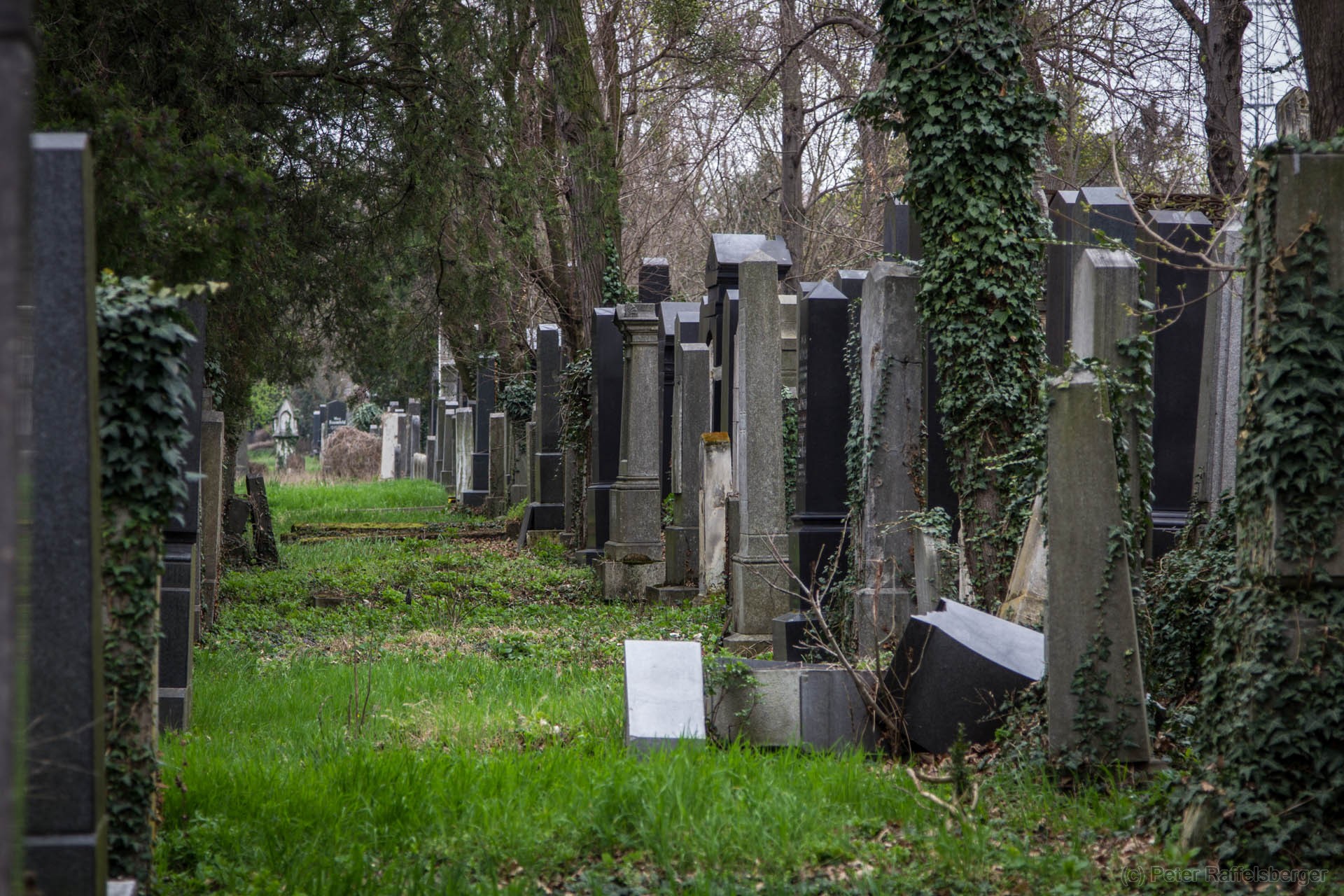 Wien Zentralfriedhof Frühjahr