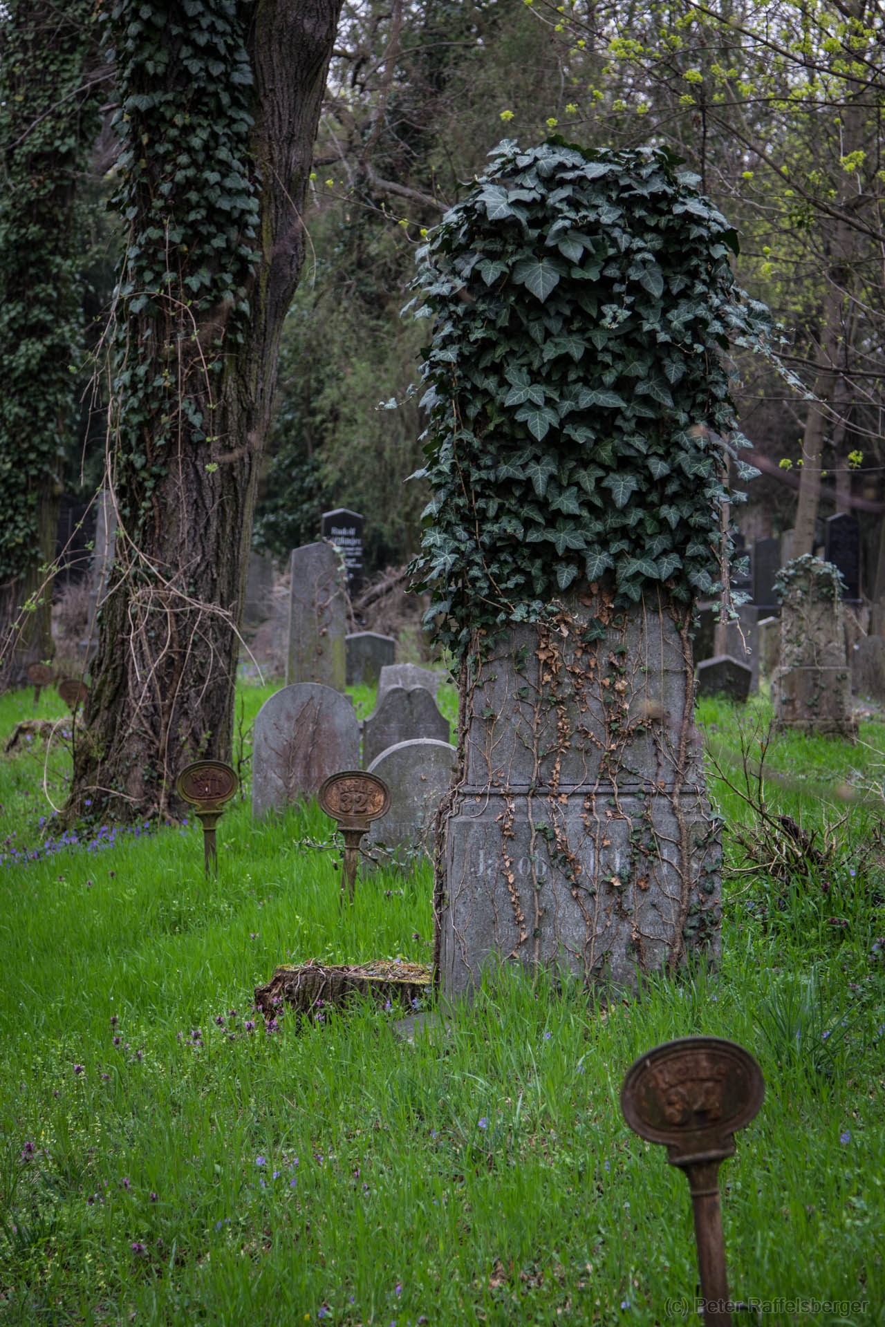 Wien Zentralfriedhof Frühjahr