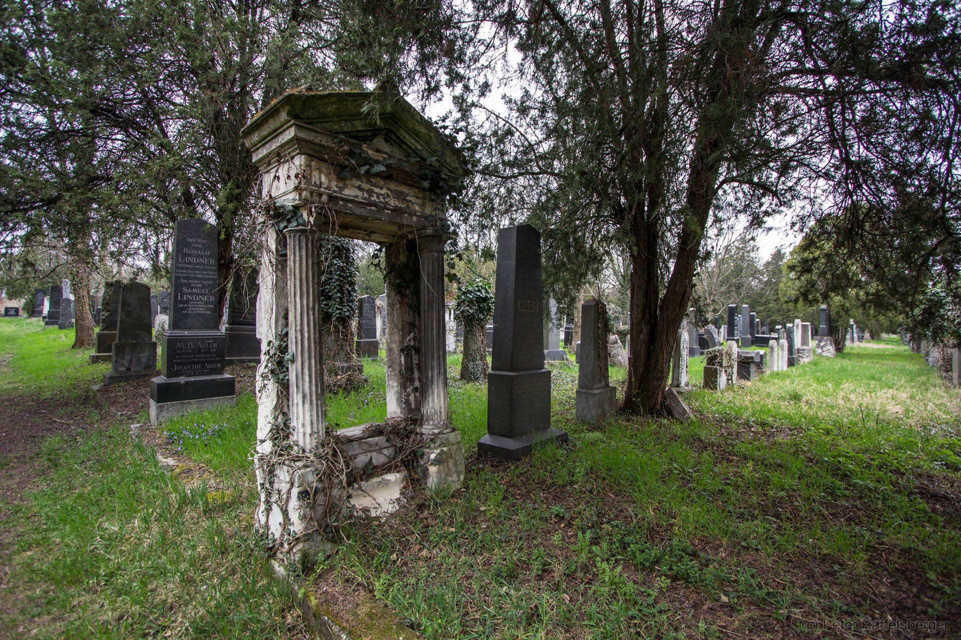 Wien Zentralfriedhof FrÃ¼hjahr