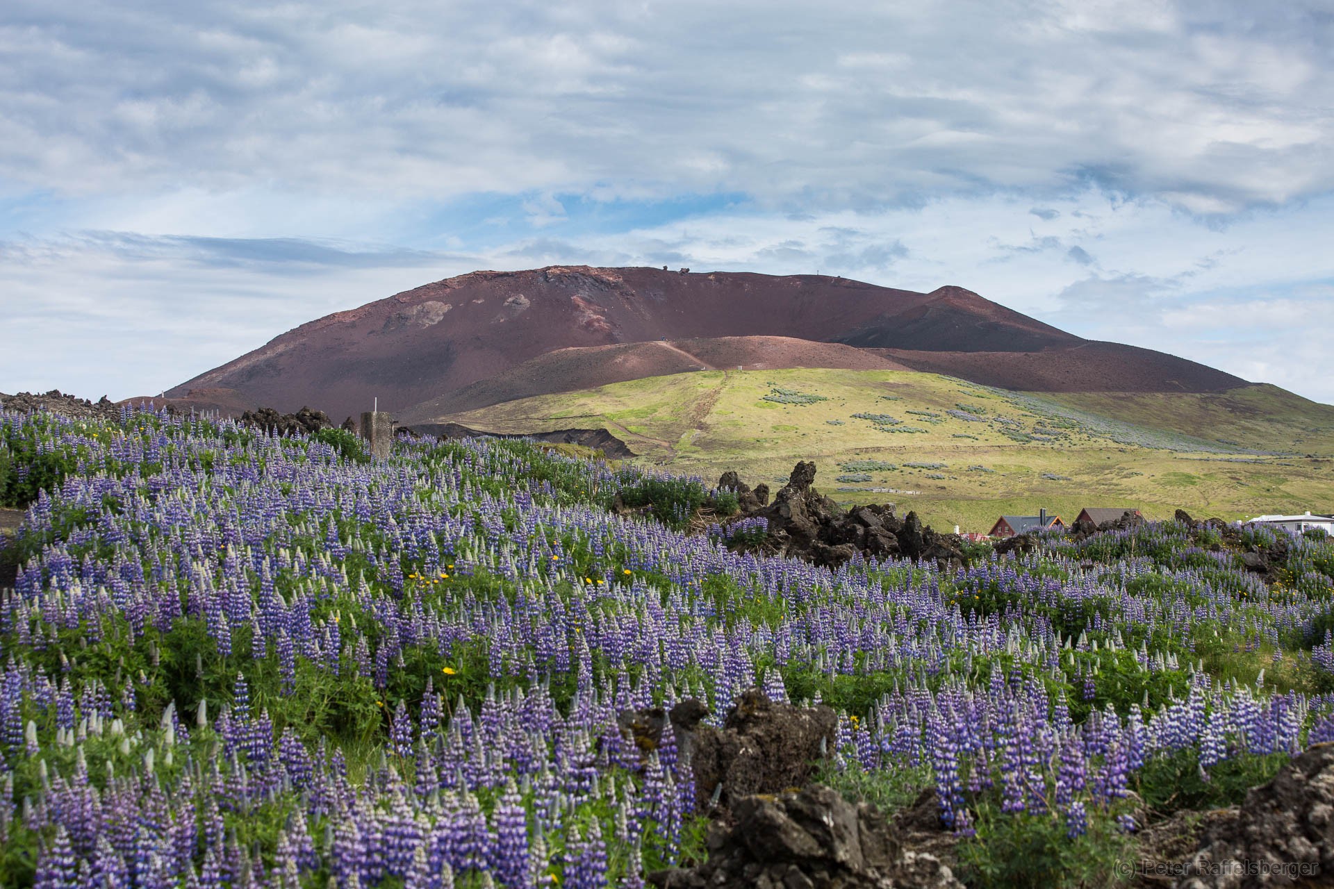 Vestmannaeyjar