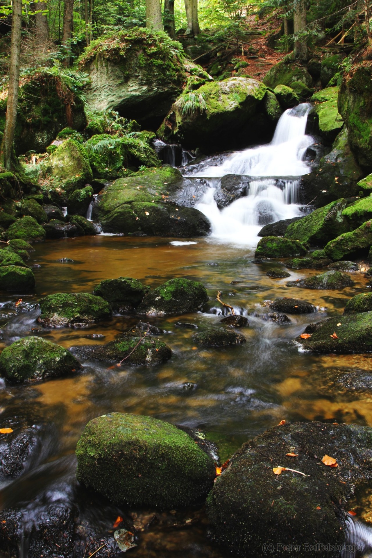 Ysperklamm