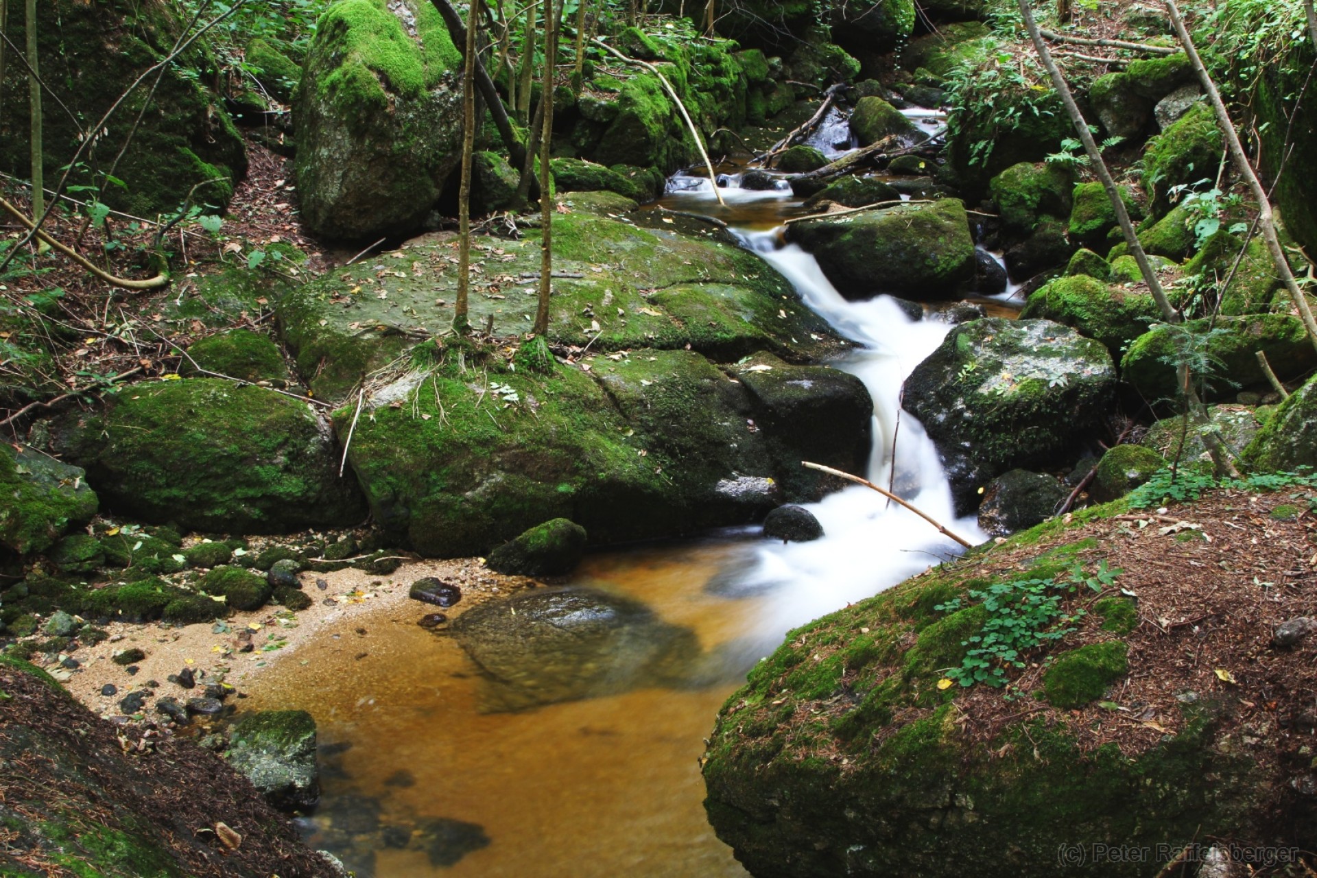 Ysperklamm