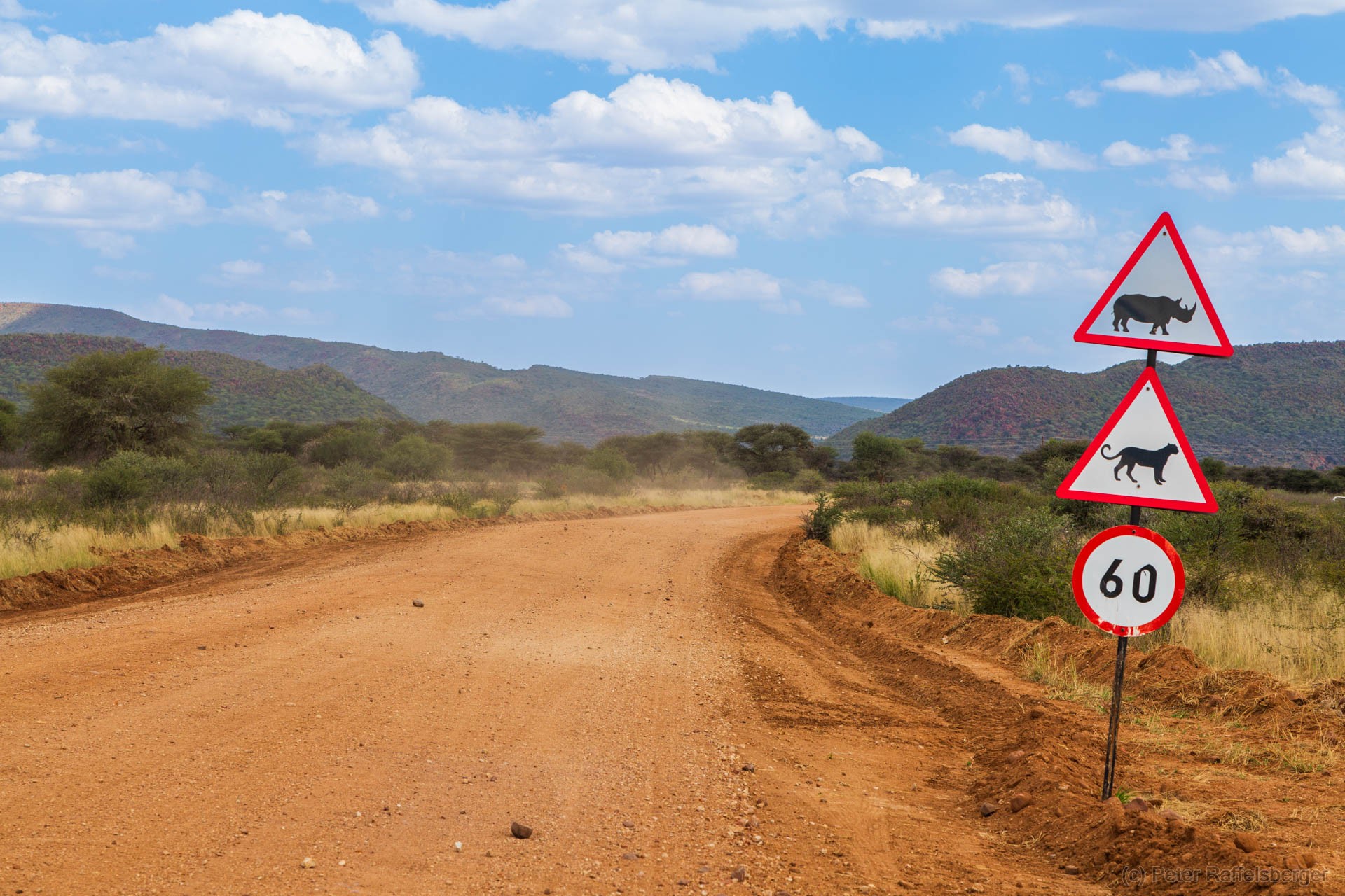 Windhoek, Okonjima, Etosha National Park