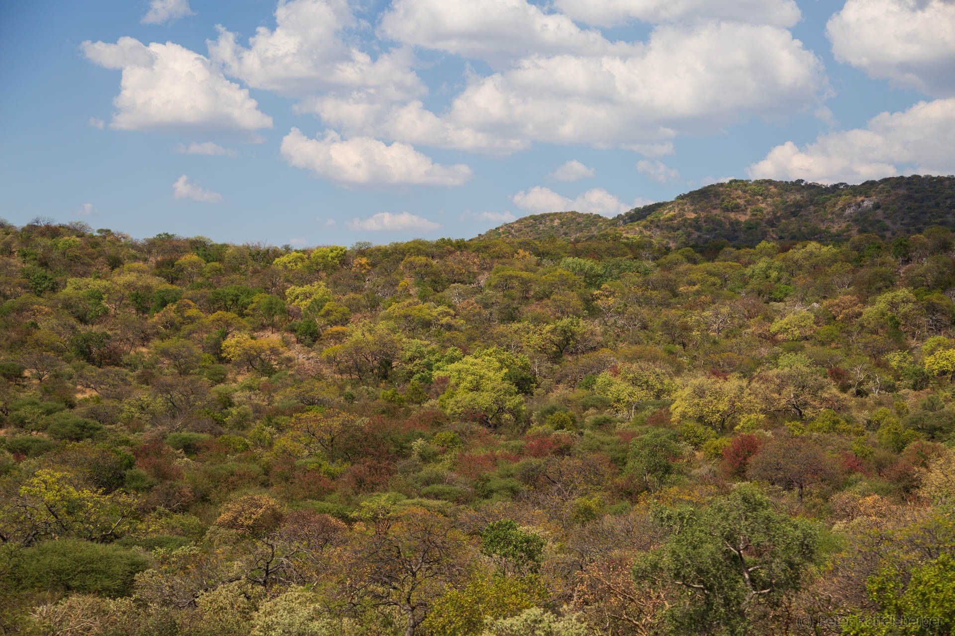 Windhoek, Okonjima, Etosha National Park