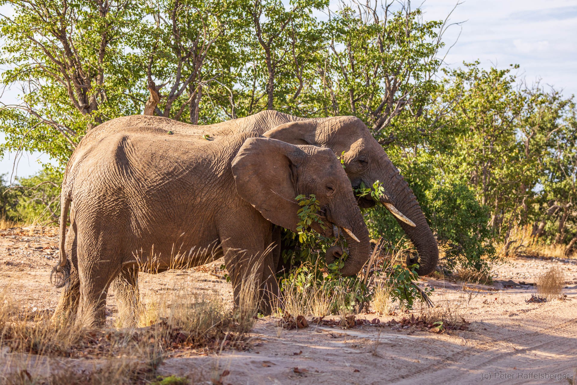 Damaraland, Swakopmund, Walvis Bay