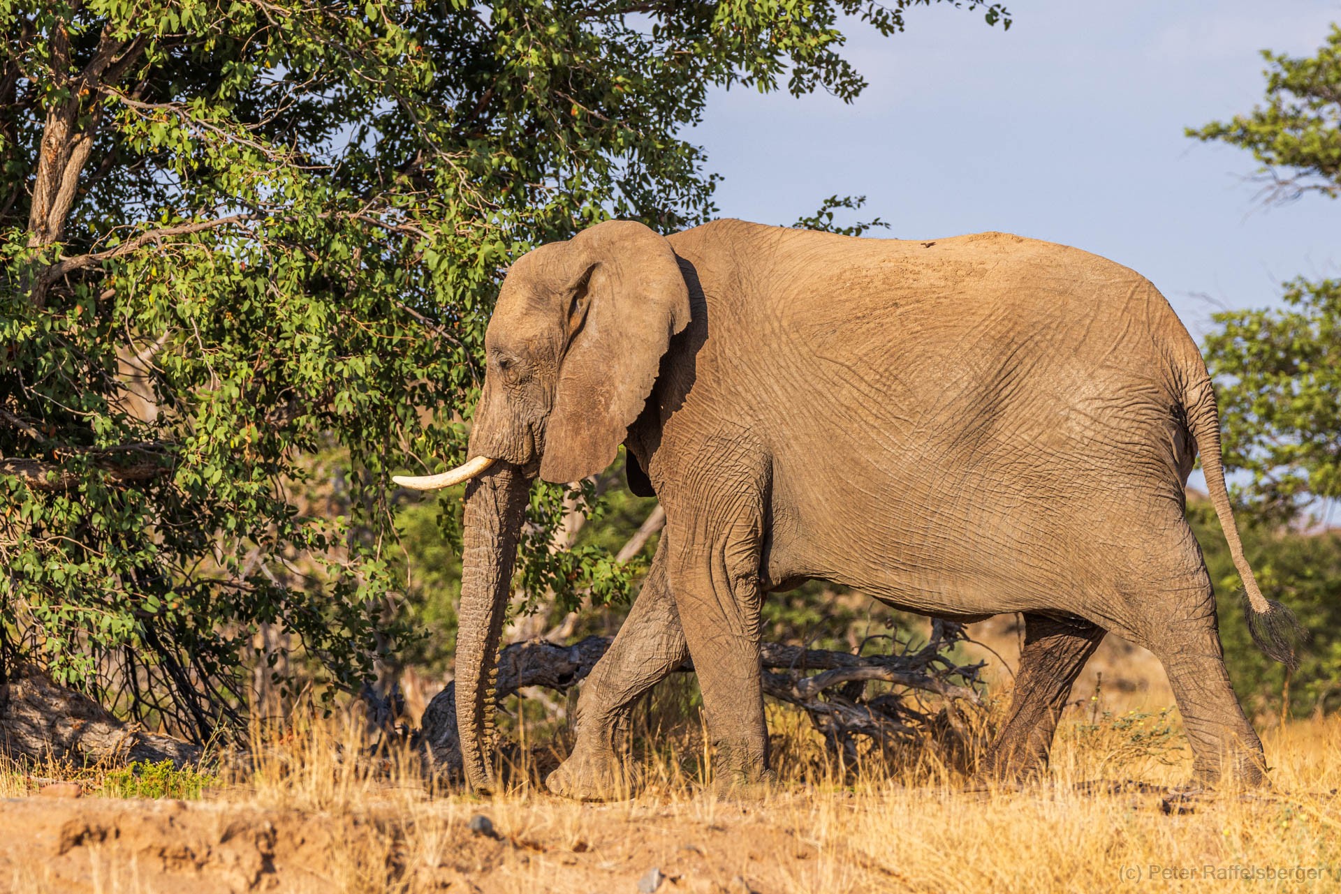Damaraland, Swakopmund, Walvis Bay