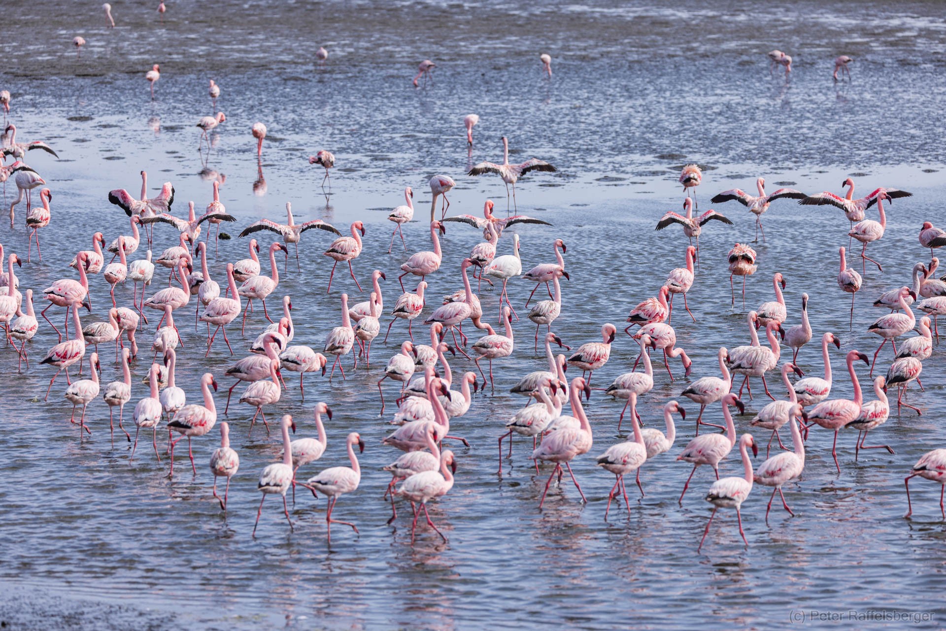 Damaraland, Swakopmund, Walfischbucht
