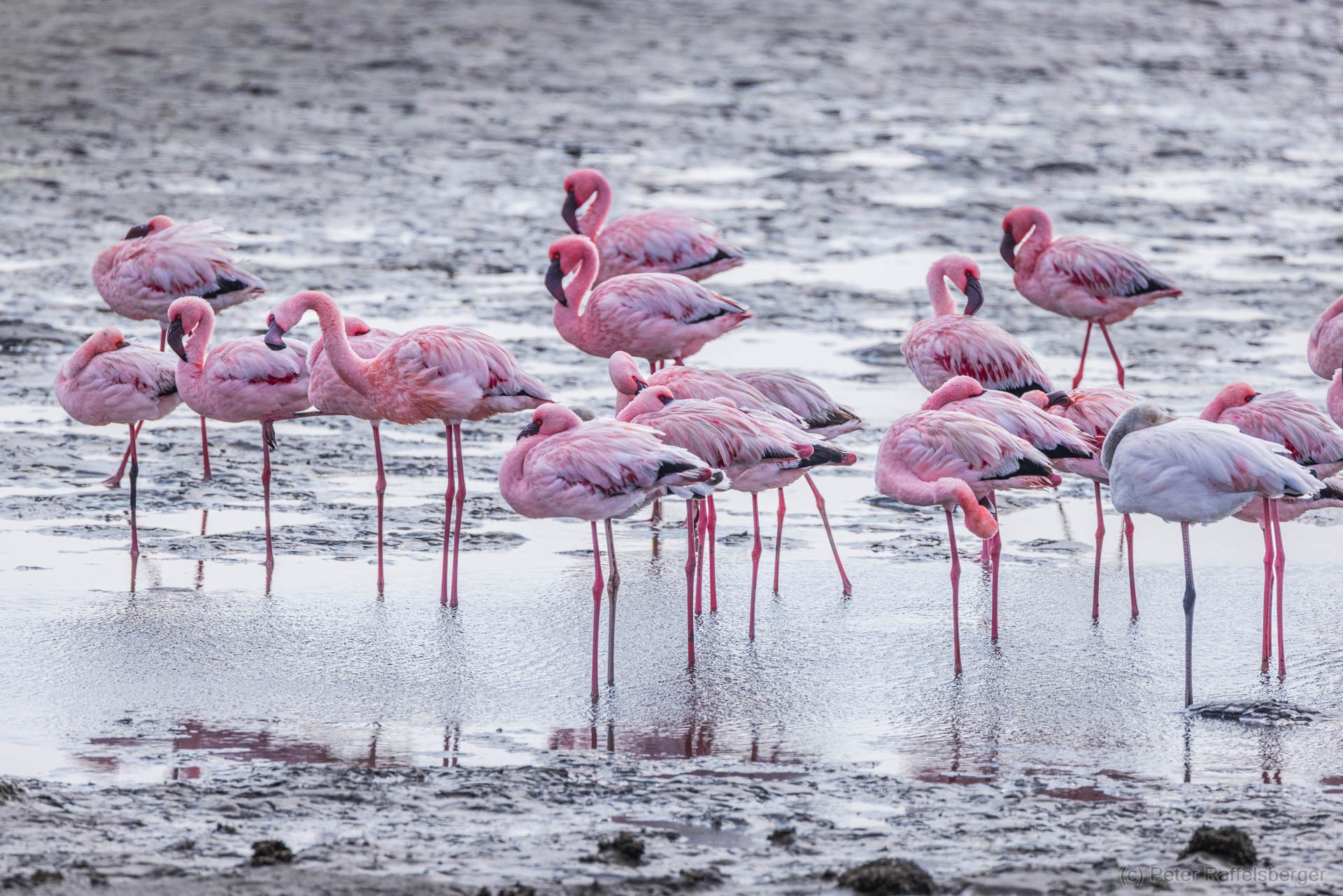 Damaraland, Swakopmund, Walvis Bay