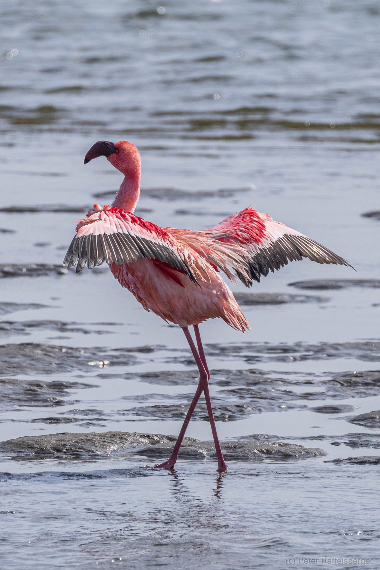 Damaraland, Swakopmund, Walvis Bay