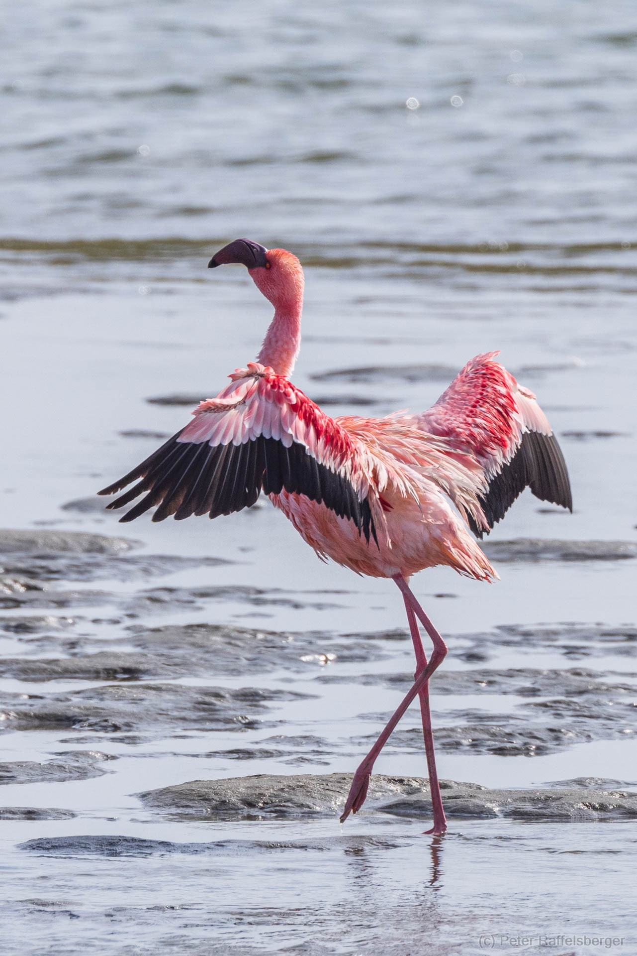Damaraland, Swakopmund, Walfischbucht