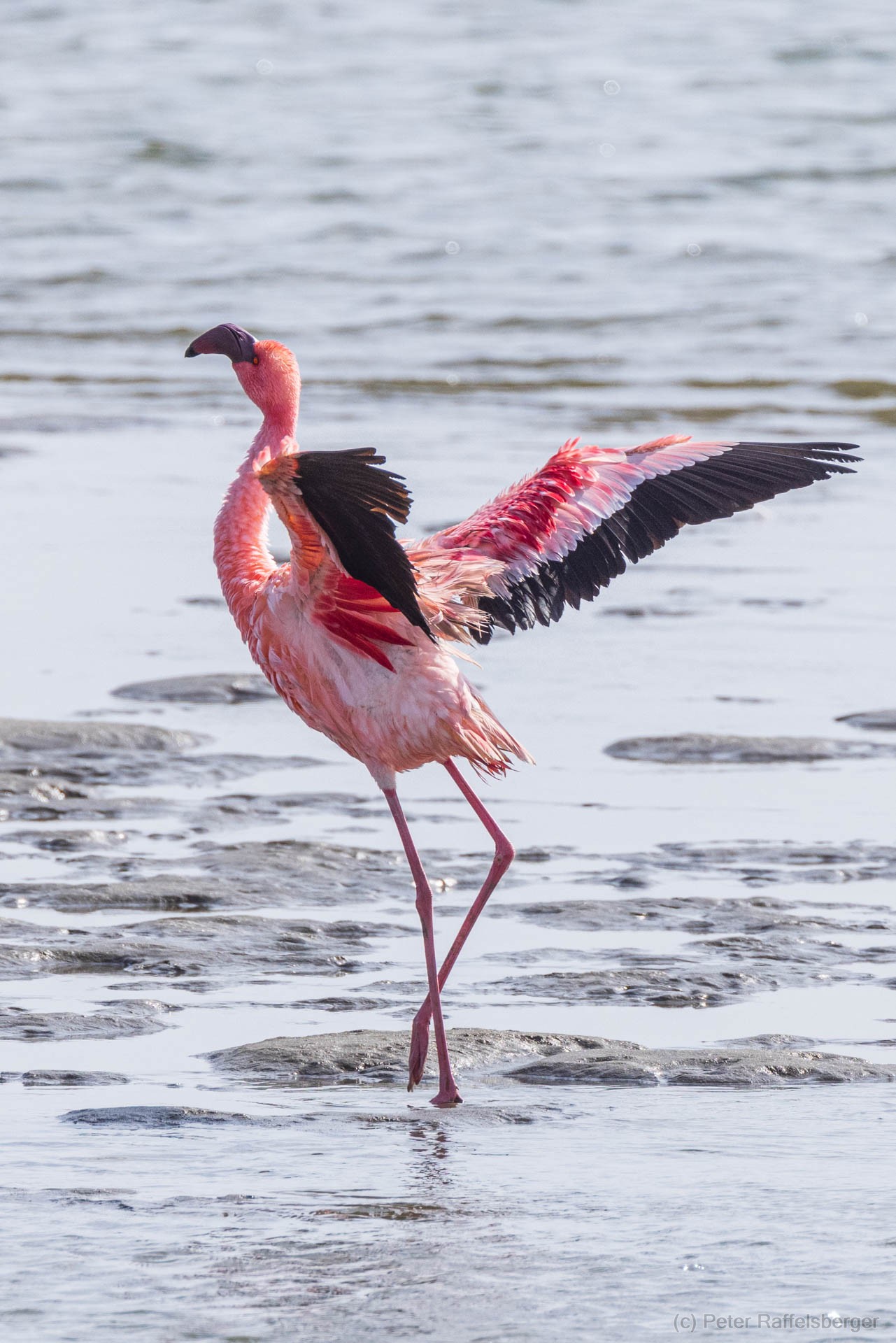 Damaraland, Swakopmund, Walvis Bay