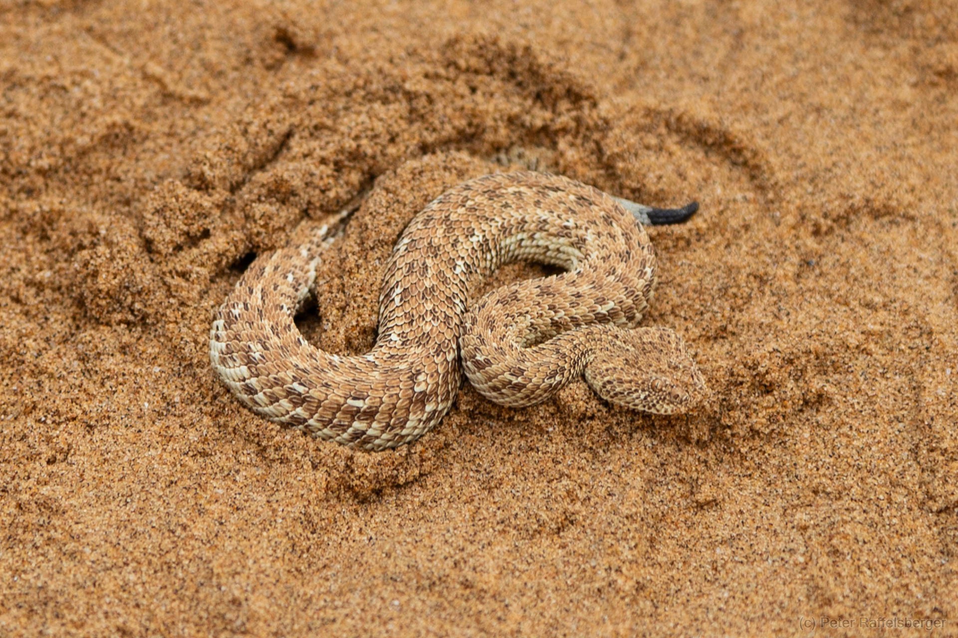 Damaraland, Swakopmund, Walfischbucht