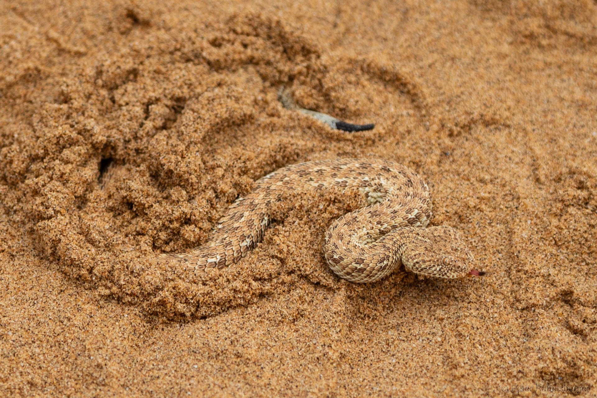 Damaraland, Swakopmund, Walfischbucht