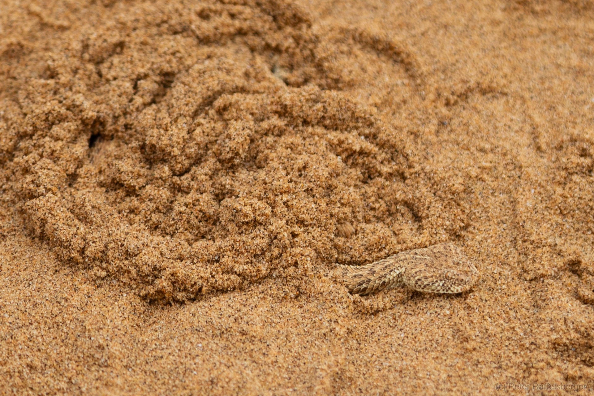 Damaraland, Swakopmund, Walfischbucht