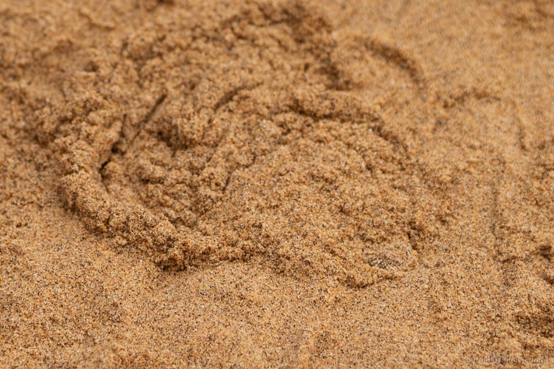 Damaraland, Swakopmund, Walfischbucht