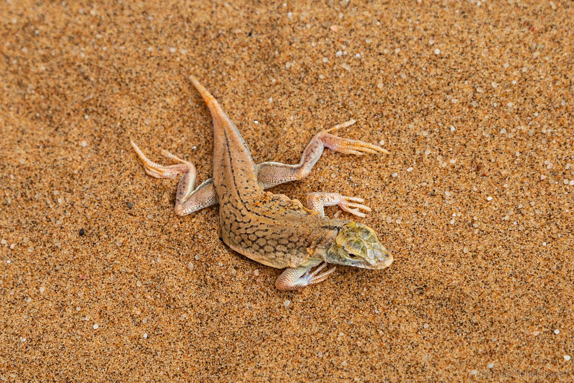 Damaraland, Swakopmund, Walvis Bay
