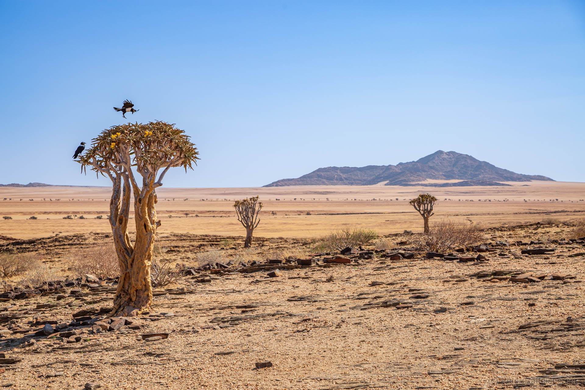 Sesriem, Sossusvlei, Namib-Naukluft-Nationalpark, Kalahari