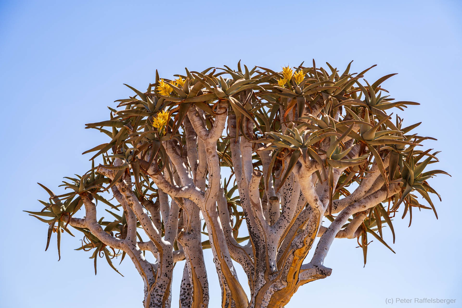Sesriem, Sossusvlei, Namib-Naukluft-Nationalpark, Kalahari