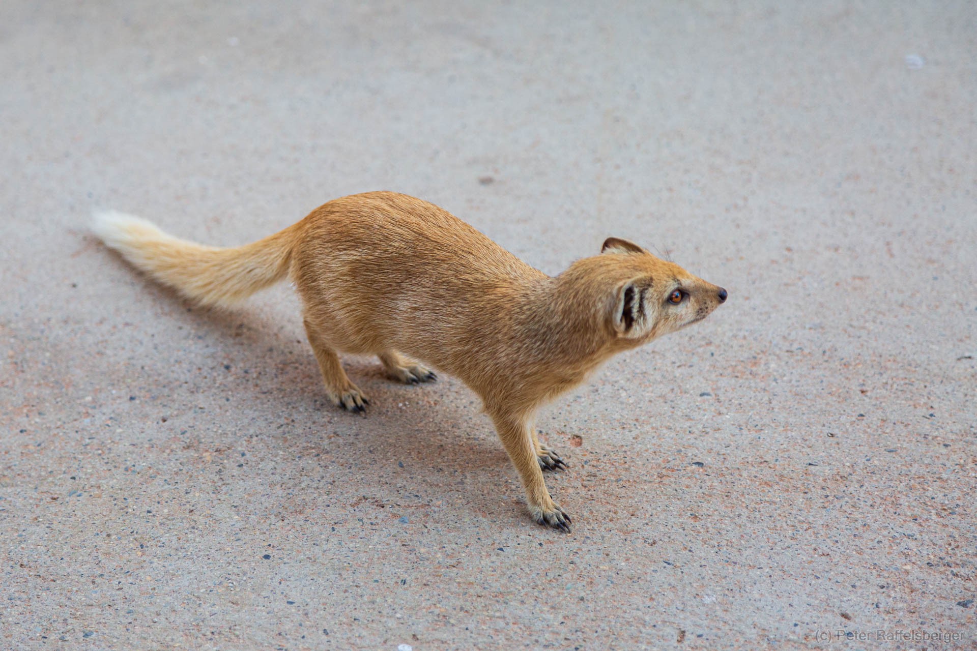 Sesriem, Sossusvlei, Namib-Naukluft-Nationalpark, Kalahari