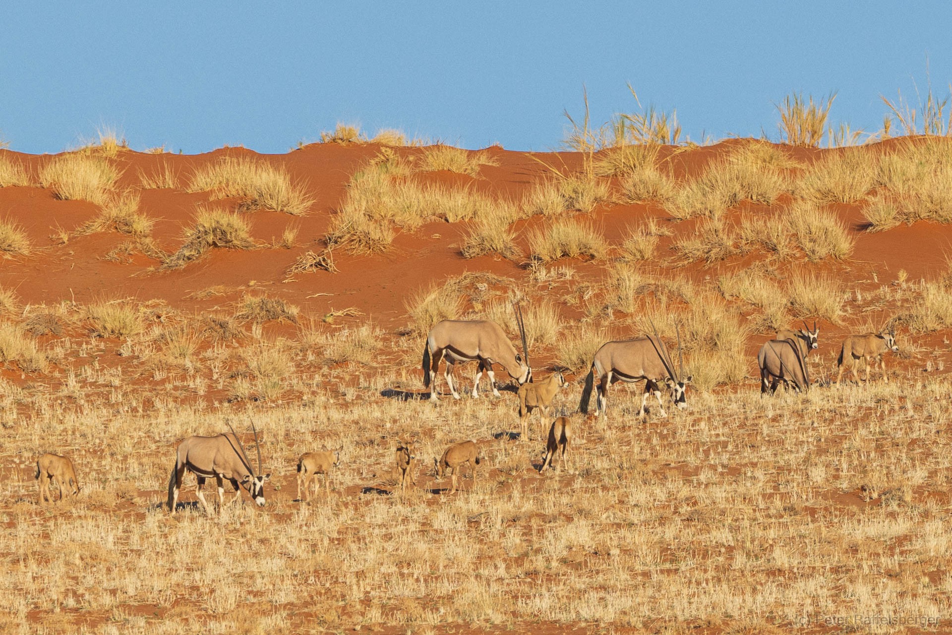 Sesriem, Sossusvlei, Namib-Naukluft-Nationalpark, Kalahari