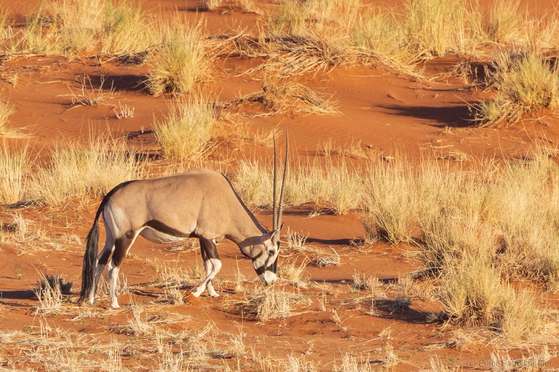 Sesriem, Sossusvlei, Namib-Naukluft-Nationalpark, Kalahari