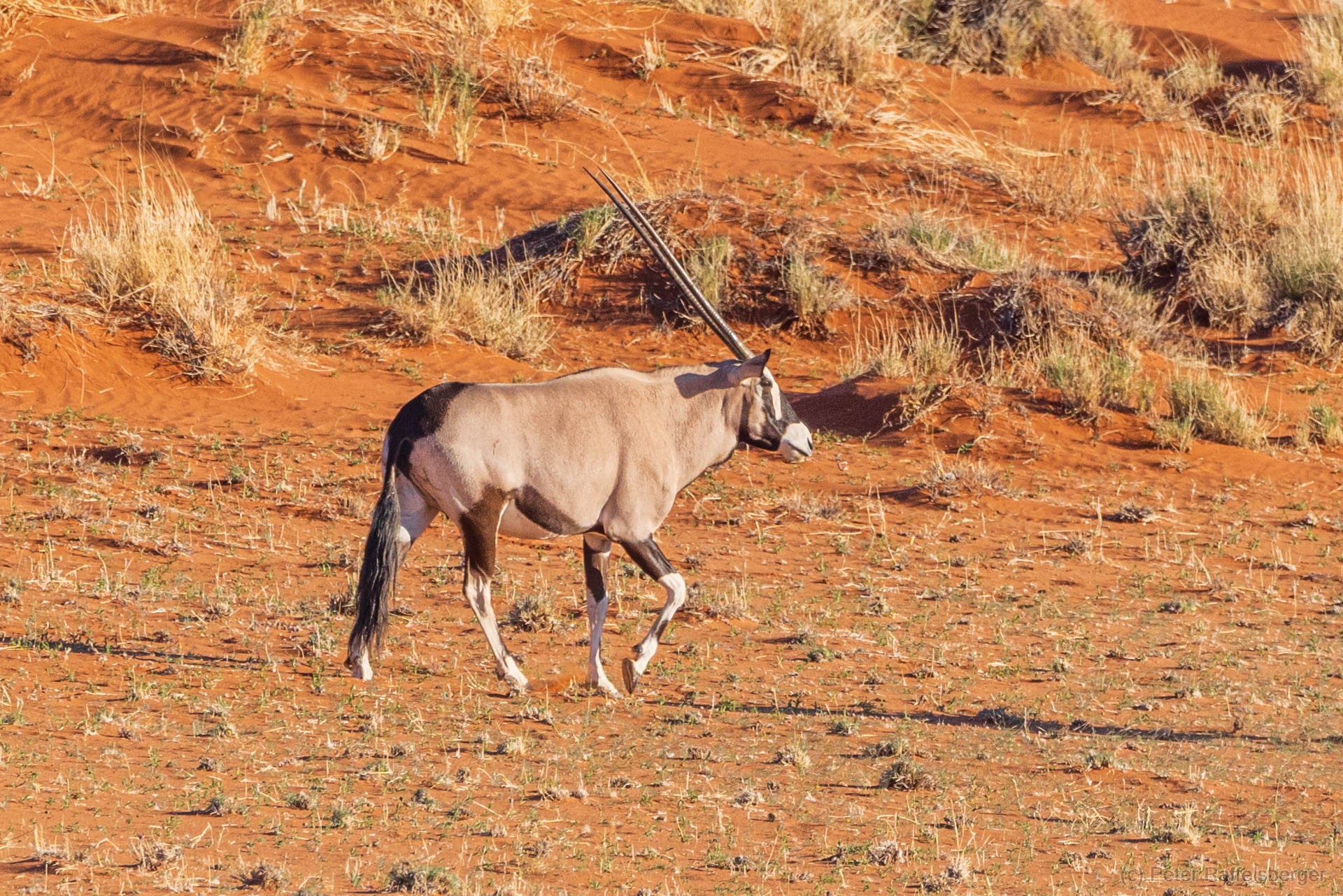 Sesriem, Sossusvlei, Namib-Naukluft-Nationalpark, Kalahari
