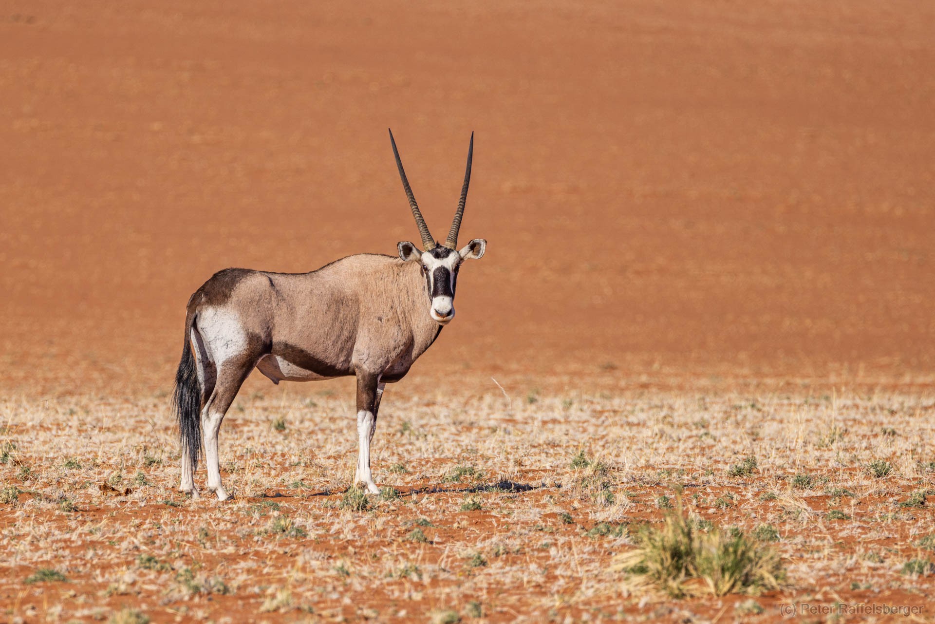 Sesriem, Sossusvlei, Namib-Naukluft-Nationalpark, Kalahari
