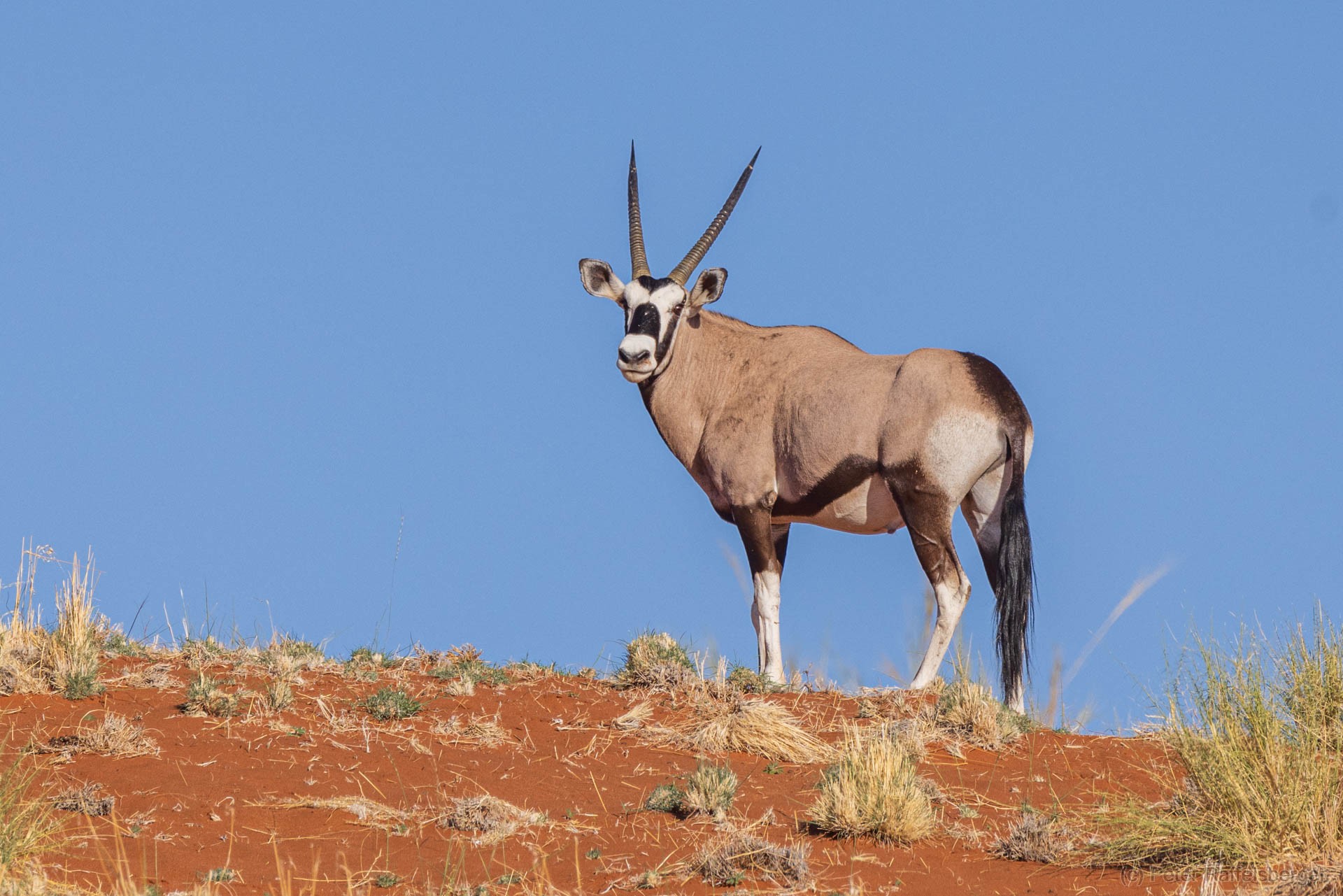 Sesriem, Sossusvlei, Namib-Naukluft-Nationalpark, Kalahari