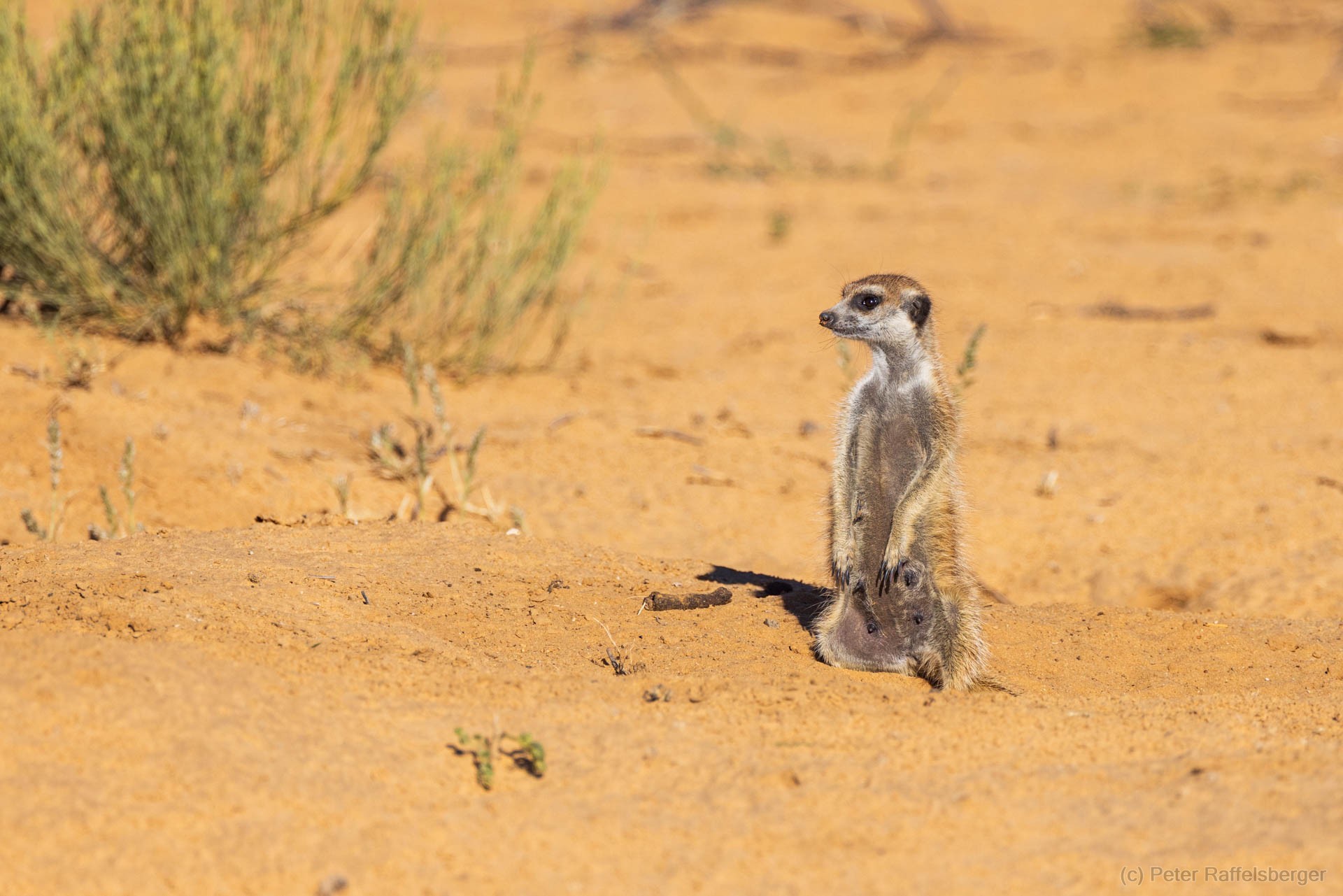 Sesriem, Sossusvlei, Namib-Naukluft-Nationalpark, Kalahari