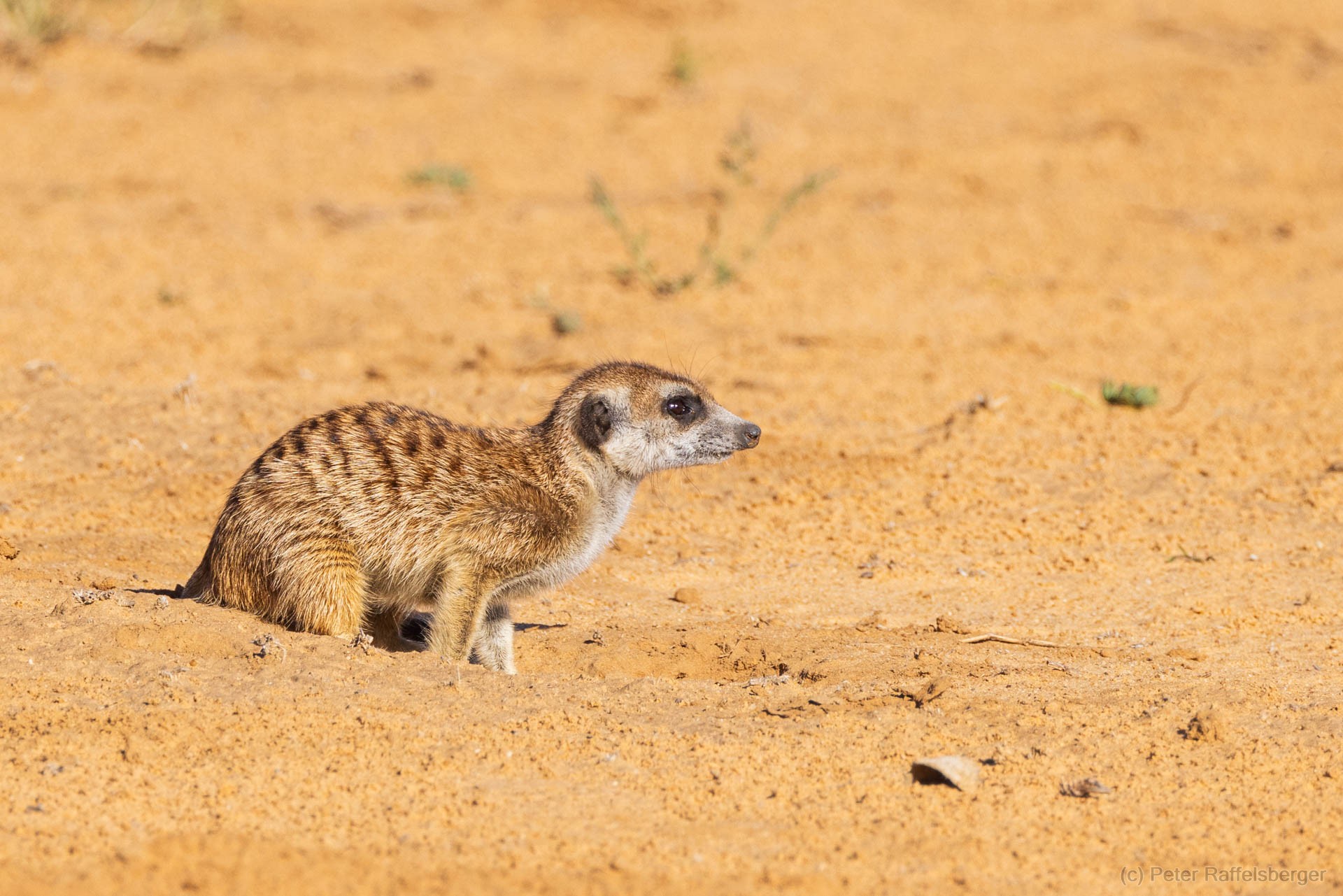 Sesriem, Sossusvlei, Namib-Naukluft-Nationalpark, Kalahari