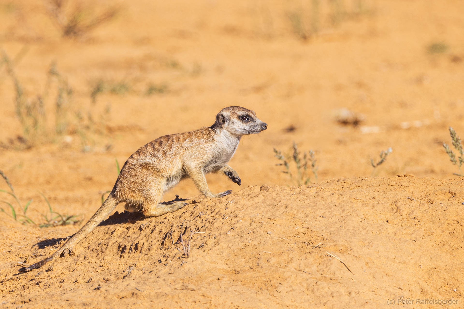 Sesriem, Sossusvlei, Namib-Naukluft-Nationalpark, Kalahari